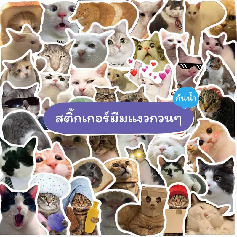 [พร้อมส่ง] สติ๊กเกอร์ มีมแมวกวนๆ ตลก น่ารัก ชุด 50 ชิ้น กันน้ำ สําหรับติดตกแต่ง