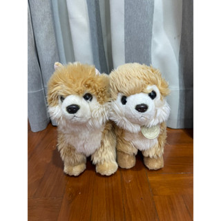 ตุ๊กตา หมา หมาเหมือน หมาขนนุ่ม หมาปอม ปอมเมอเรเนียน Dog Pomeranian doll Aurora  Miyoni