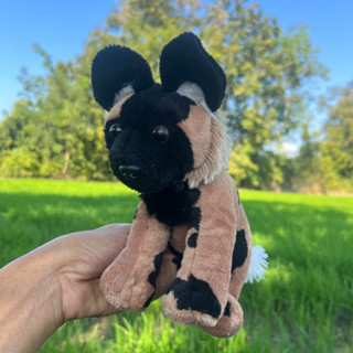 ตุ๊กตาไฮยีน่า ไฮยีน่า สุนัขไฮยีน่า ฮายีน่า Hyena stuffed animal หมาไฮยีน่า Spotted Hyena, Wildlife, Animal