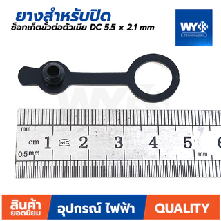 สีเงิน Jack Adapters ซ็อกเก็ตขั้วต่อตัวเมีย DC-099 5.5x2.1 - 2.5mm / 1.3 / 1.65 / 30V 10A แบบตัวเลือก (ขายต่อ 1 ตัว)