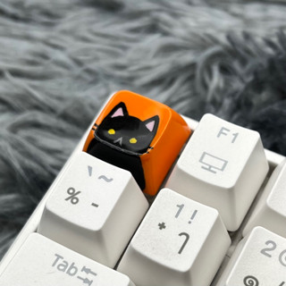 XDA keycap แมวดำ พื้นส้ม