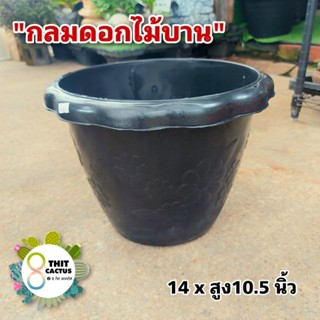 กระถาง กลมดอกไม้บาน สีดำ 14 นิ้ว // กระถางแคคตัส กระถางพลาสติก กระถางเกษตร