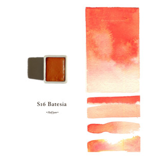 HANDMADE WATERCOLOR | S16 Batesia | สีน้ำแบบก้อน อุปกรณ์ศิลปะ