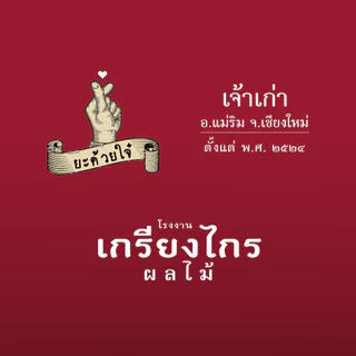 น้ำบ๊วย เข้มข้น 500 มล. ไม่เจือสี ไม่แต่งกลิ่น ผลิตจากผลบ๊วยธรรมชาติ Concentrated Plum Juice 浓缩梅汁