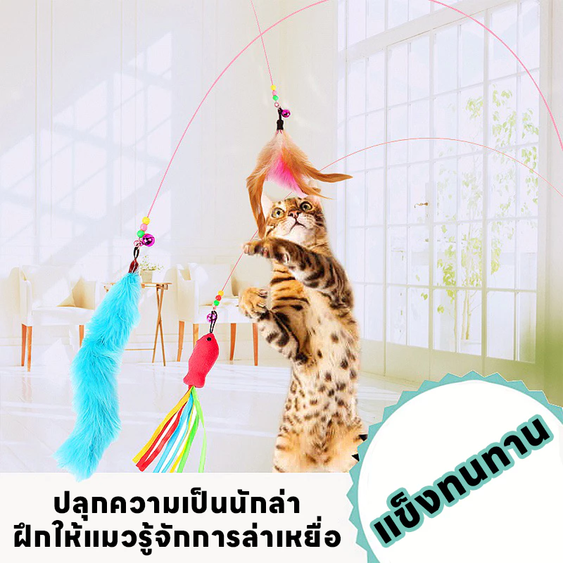 yoyopet : Cat Teaser ไม้ล่อแมว แบบสปริง ของเล่น ที่ตกแมว ลวดสลิง thumbnail 3