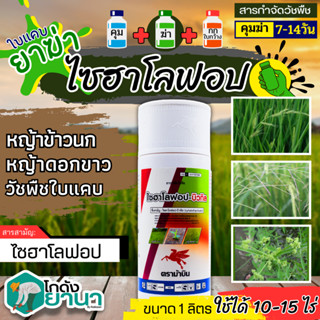 🌾 ไซฮาโลฟอป-บิวทิล ตราม้าบิน (ไซฮาโลฟอป-บิวทิล) ขนาด 1ลิตร ใช้หลังวัชพืชงอกในข้าวนาหว่านน้ำตม เพื่อกำจัดวัชพืชใบแคบ