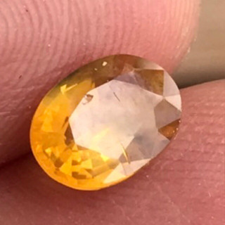 1.62ct พลอยบุษราคัม ไทยแลนด์ 8.2x6mm Oval Yellow Sapphire, Thailand