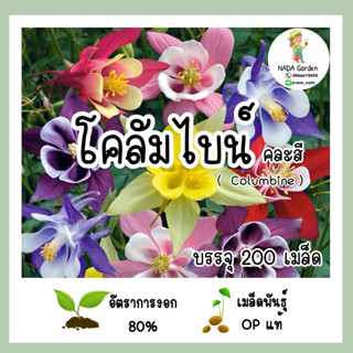 เมล็ดพันธุ์โคลัมไบน์ คละสี ( Columbine mix ) บรรจุ 200 เมล็ด สายพันธุ์ OP แท้