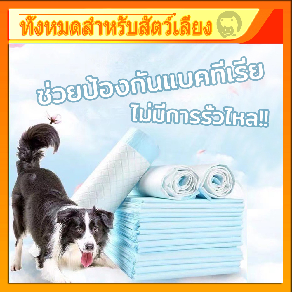 หลากหลายขนาด A5 แผ่นรองฉี่ แผ่นรองฉี่แมว แผ่นรองฉี่สุนัข ช่วยฝึกขับถ่าย ระงับกลิ่น ซึมซับไดีดี ยิ่งขึ้น