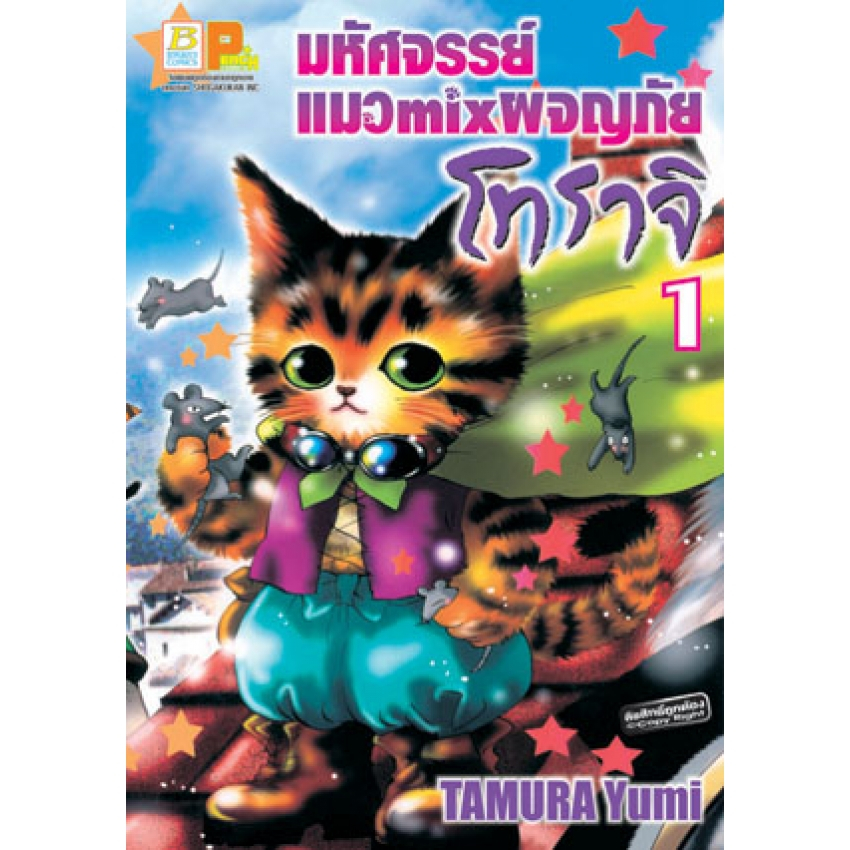 Thumbnail 7
