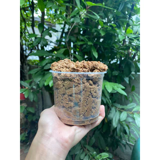 ขี้เลื่อยอัดเม็ด 1 KG ขี้เลื่อยดับกลิ่น รองกรง ขี้เลื่อยทรายแมว