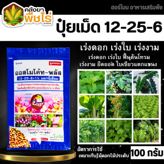 🌽 ออสโมโค้ท-พลัส (12-25-6) 100กรัม ใส่เพียงครั้งเดียว พืชได้รับปุ๋ยต่อเนื่องนาน 6 เดือน