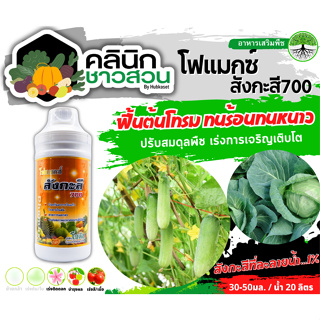 🥬 โฟแมกซ์ สังกะสี700 (สังกะสีละลายน้ำ) บรรจุ 1ลิตร ป้องกันอาการใบแก้ว ใบลายในส้ม กระตุ้นการแตกตา พืชทนต่อสภาพอากาศหนาว