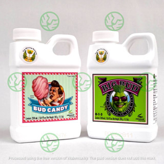 250ml Big Bud + 250ml Bud Candy Advanced Nutrients