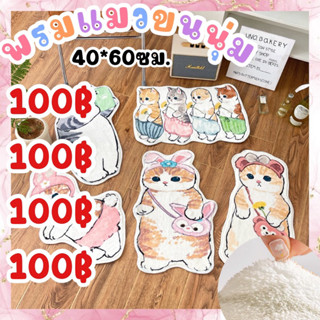 💗พรมแมวขนนุ่ม💗40*60ซม. ขนแคชเมียร์เทียม