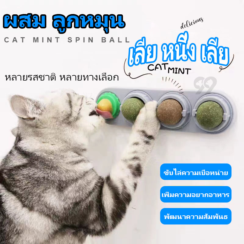 99PET กัญชาแมว ของเล่นแมว หญ้าแมว แคทนิปแมว catnip หญ้าแมว ของเล่นแมวเลีย ติดกำแพง หลากหลายรสชาติ