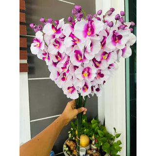 ดอกกล้วยไม้ ดอกฟาแลยผ้า (พร้อมส่งจากไทย)(ดอกกล้วยไม้1ก้าน บาน7+ตูม3 รวม10ดอกก้านยาว45ซม.)ดอกกล้วยไม้ง ดอกฟาแลน กล้วยไม้