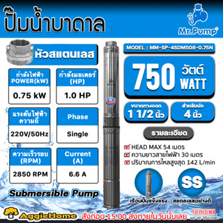 MR.PUMP ปั๊มบาดาล AC รุ่น 3SDM316-0.75N 220V./ 1HP/ ท่อ11/4"/ 16 ใบ / สายไฟ 30 เมตร /สำหรับลงบ่อ 3นิ้ว ปั๊มบาดาล ปั๊มน้ำ