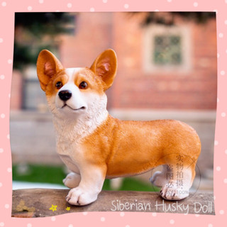 โมเดล รูปปั้น ตุ๊กตาหมาคอร์กี้ เรซิ่น // Corgi resin // สัตว์จำลอง เหมือนจริง งานเรซิ่น ตุ๊กตาสุนัข คอร์กี้