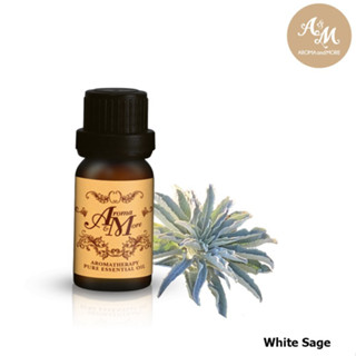 Aroma&amp;More White Sage Essential oil, Bulgaria น้ำมันหอมระเหยไวท์ เสจ, บัลกาเรีย 5/10/30ML