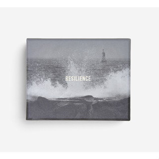 Fathom_ Pre-order (Eng) Resilience Cards  / The School of Life