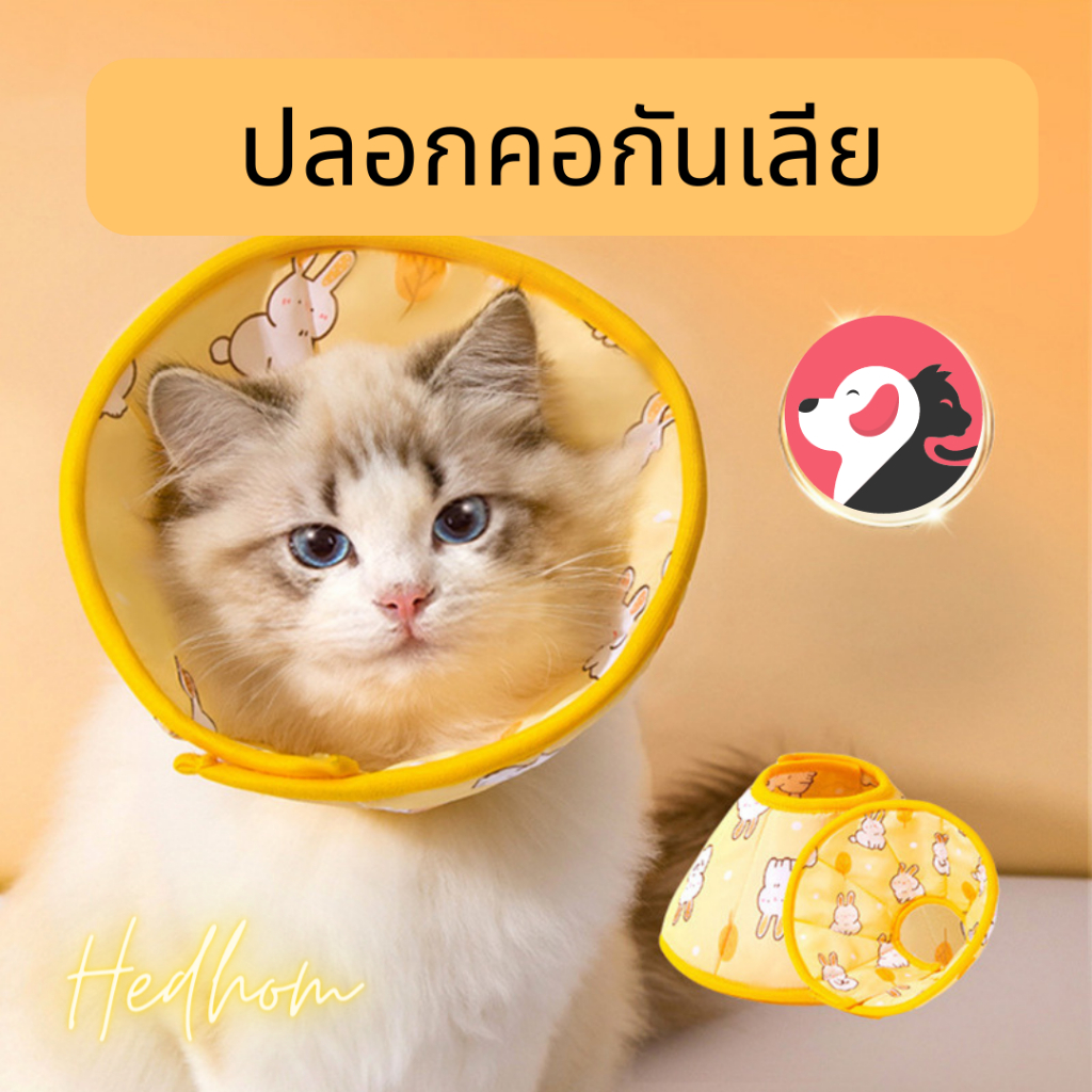 ปลอกคอกันเลียผ้านุ่ม ปรับได้สำหรับแมวสุนัข รีวิววิธีเลือกและใช้