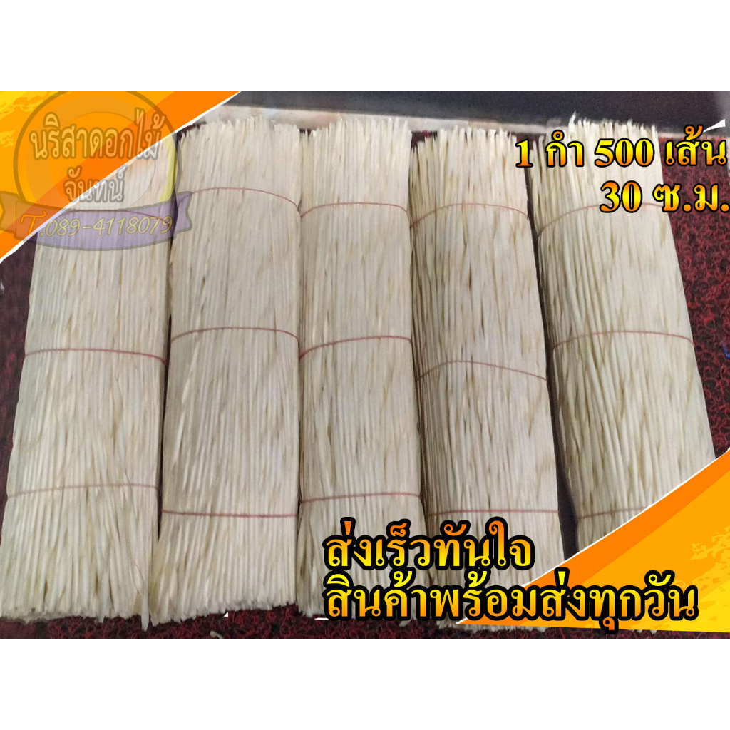 หนวดจันทน์ 1 กำ 500 เส้น ทำดอกไม้จันทน์ ลายเส้นสวย