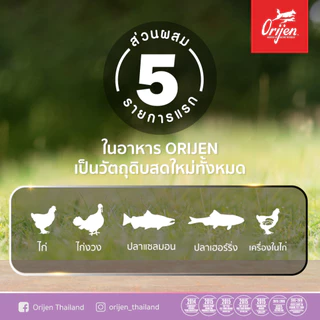 ORIJEN Kitten 1.8 กิโลกรัม โอริเจน คิทเทน สำหรับลูกแมว อายุ 5 สัปดาห์ ถึง 1 ปี