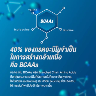 [ส่งฟรี] aminoVITAL Energy gel อะมิโนไวทัล เจลพลังงานผสมกรดอะมิโนพร้อมทาน 100 กรัม แพ็ก 6 ถุง