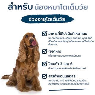 HAPPY DOG Sensible Toscana แฮปปี้ ด็อก อาหารสุนัขโต สูตรเนื้อเป็ดและปลาแซลมอน 11 Kg