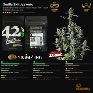 เมล็ดกัญชา Gorilla Zkittlez Auto - Fastbuds Pack : 1 seed พร้อมแพ็คเกจค่าย เมล็ดกัญชาออโต้