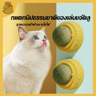 D&amp;C House Catnip Cat Mint Ball Toy Catnip for Cats Toy Cat Toys For Kitten Toys Cat Teaser For Cat Pet Toy