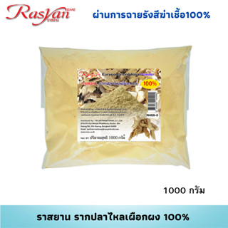 Rasyan รากปลาไหลเผือก ผง 100% 500 ,1000กรัม | ผ่านการฉายรังสีฆ่าเชื้อแล้ว | ราสยาน สมุนไพร ผงรากปลาไหลเผือก บำรุงกำลัง