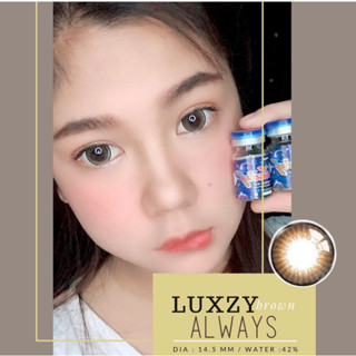 Bigeye gray,Brown คอนเเทคเลนส์กรองเเสง Always Luxzylens