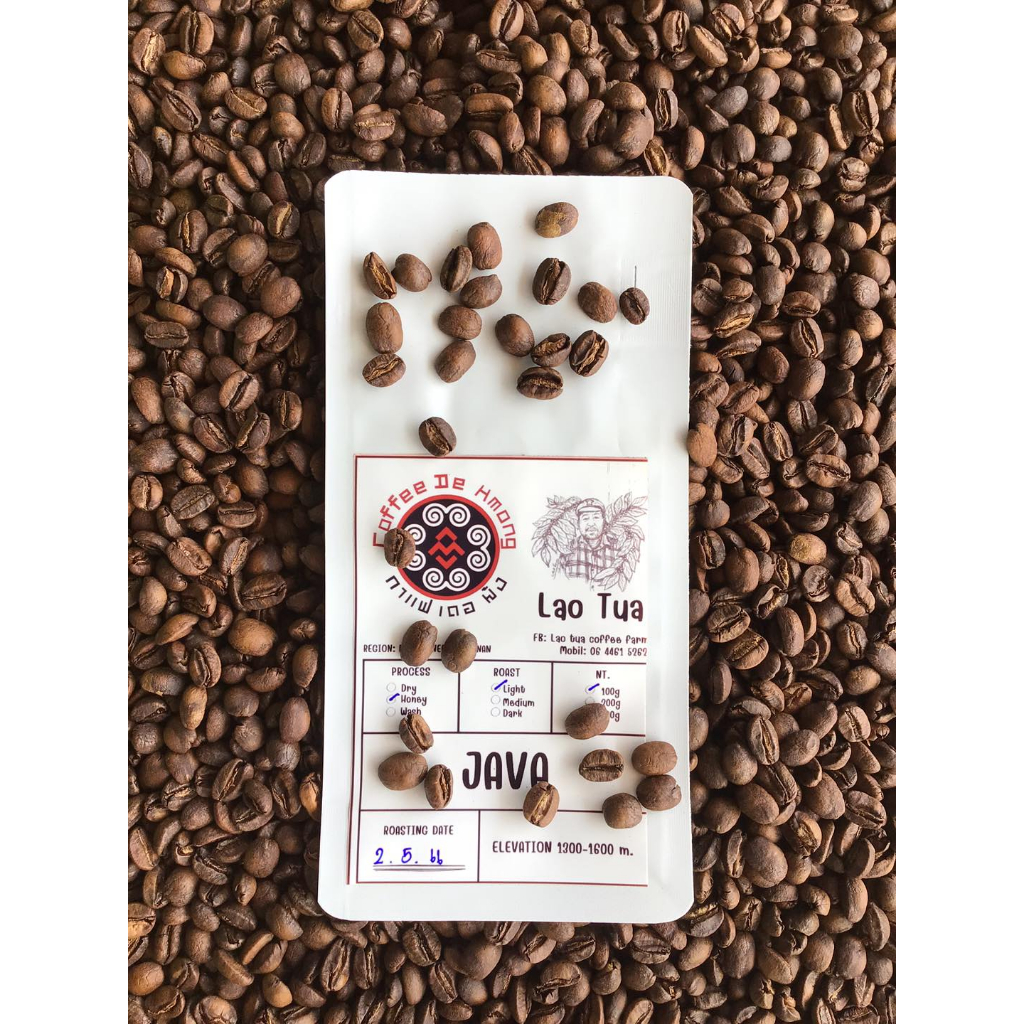 Coffee De Hmong เมล็ดกาแฟพิเศษ บ้านมณีพฤกษ์ Java Honey Process จากฟาร์ม Lao tua Coffee Farm