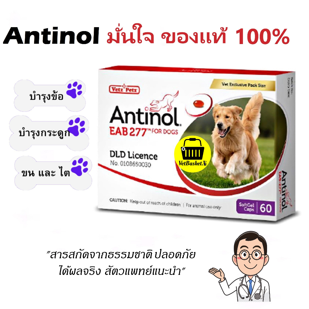 "ของแท้ 100%" Antinol อาหารเสริม บำรุงข้อ กระดูก ขน ผิวหนัง และไต สุนัข และ แมว