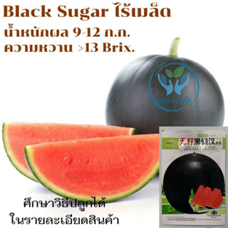 เมล็ดแตงโมดำไร้เมล็ด 35 เมล็ด F1***ศึกษาวิธีปลูกได้ที่รายละเอียดสินค้า***Black Sugar ไร้เมล็ด