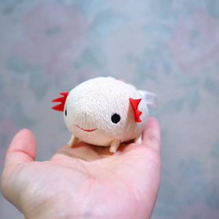 ตุ๊กตาซาลาแมนเดอร์ ชมพู axolotl ตุ๊กตาจิ๋ว