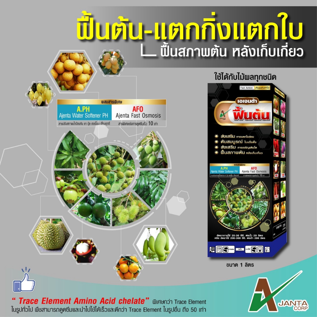 ฟื้นต้น แตกกิ่ง แตกใบ ปุ๋ยทางใบ ฟื้นฟูสภาพต้น ใบเขียว ใบแข็งตั้ง หลังเก็บเกี่ยว ต้นสมบูรณ์ เอเจนต้า คอร์ป (250 ซีซี)