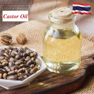 HERBORATORIES - น้ำมันละหุ่งสกัดบริสุทธิ์ 100% Castor Oil (Refined) แคสเตอร์ออยล์ -Cosmetic grade