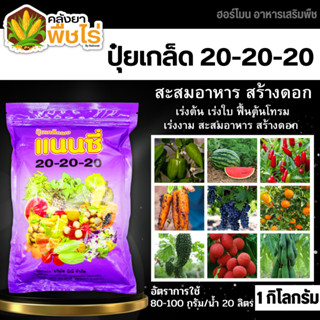 🌽 แนนซี่ 20-20-20 (ปุ๋ยเกล็ดผง) 1กิโลกรัม บำรุงต้นและใบ เร่งการแตกกิ่ง ฟื้นต้นหลังเก็บเกี่ยว