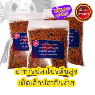 เซ็ตเลี้ยงปลากัด สุดคุ้ม (ชุดเล็กเหมาะกับการเลี้ยงปลา 1-3 ตัว)