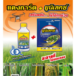 แคงการ์ด(1ขวด)+ยูนิเลกซ์(2ซอง) = 1 ชุด ฉีดพ่นได้ 10 ไร่ โรคขอบใบแห้งในข้าว