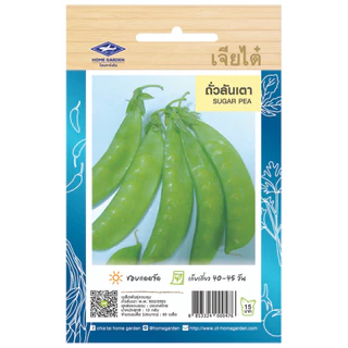 เจียไต๋ (ซื้อ10แถม2) เมล็ดพันธุ์ ถั่วลันเตา ขนาด10กรัม ประมาณ60เมล็ด Sugar Pea ถั่วลันเตาหวาน เมล็ดพันธุ์พืช เมล็ดผัก ปล