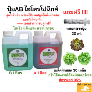 ปุ๋ยAB ไฮโดรโปนิกส์ 1 ลิตร ฟรีเมล็ดผักสลัด  หลอดตวง เพียงแค่ 119 บาท A+B ขนาด 1 ลิตร ปุ๋ยเอบี ไฮโดรโปนิกส์  ปลูกผักสลัด