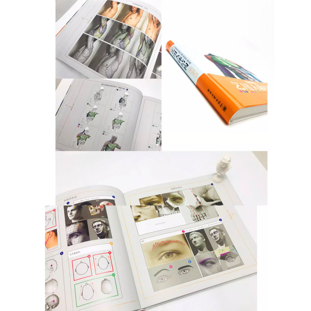 ANATOMY FOR SCULPTORS โครงสร้างร่างกายมนุษย์ กล้ามเนื้อ กายวิภาคศาสตร์ หนังสือสอนวาดรูป วาดภาพคน ศิลปะ - รูปที่ 2