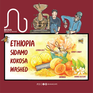 Coffee Beans : Ethiopia Sidamo Kokosa washed