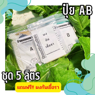 ปุ๋ย AB 4g 5ลิตรสำหรับปลูกผักไฮโดรโปรนิกส์