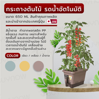 Planter box กระถางพลาสติกปลูกต้นไม้ 650มล.  30×60×32cm