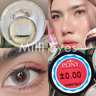 ⭐️กรองแสง ลายดัง⭐️ คอนแทคเลนส์ Wink Pony ตาโตสวย เลนส์นิ่ม สบายตา สีเทา สีน้ำตาล บิ๊กอาย ลายฮิต Tiktok (1)